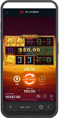 Gewinn von 250 Euro mit markierten Linien in Book of Gold Classic